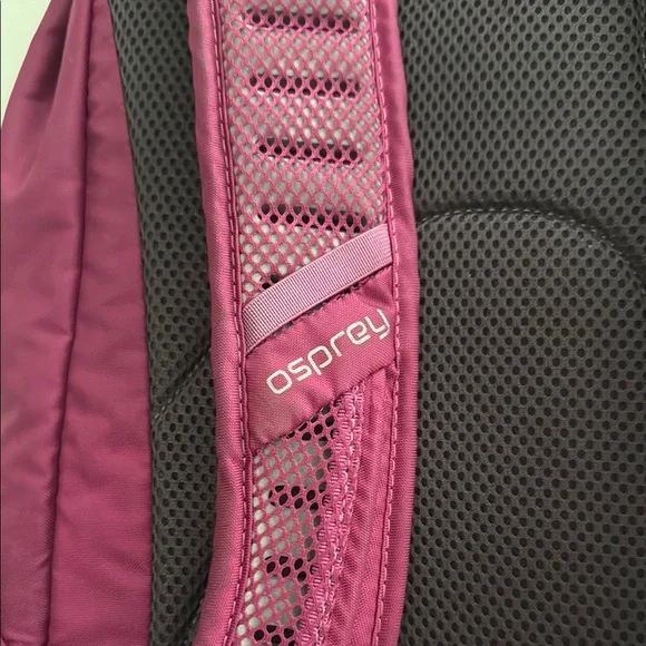 Osprey Axis Backpack in Deep Plum - Picture 8 of 14